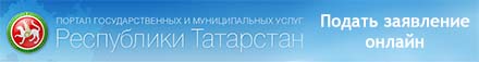 Подать заявление через портал государственных услуг Республики Татарстан